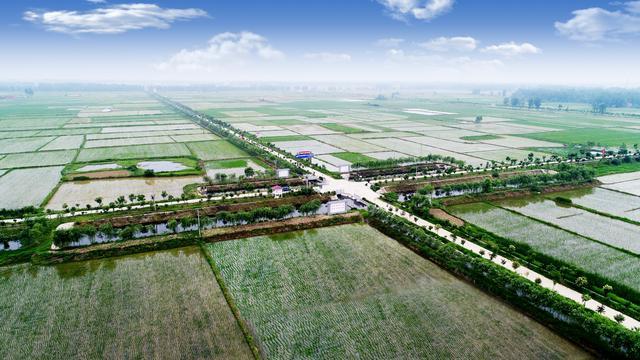 息县：全域整治绘新景 城乡融合展新颜(图3)