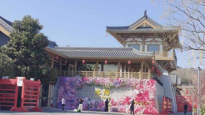 重大利好洛阳十大片区城市更新来了！57万大拆迁老城一夜变天(图8)