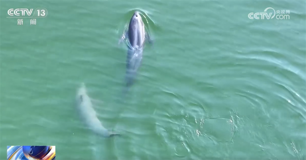 打好碧水保卫战 数说“十四五”期间全国水生态环境质量持续向好(图6)