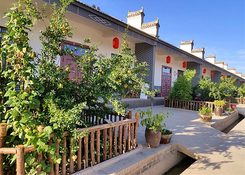 陕西合阳县：深入打好黄河生态保护治理攻坚战(图1)