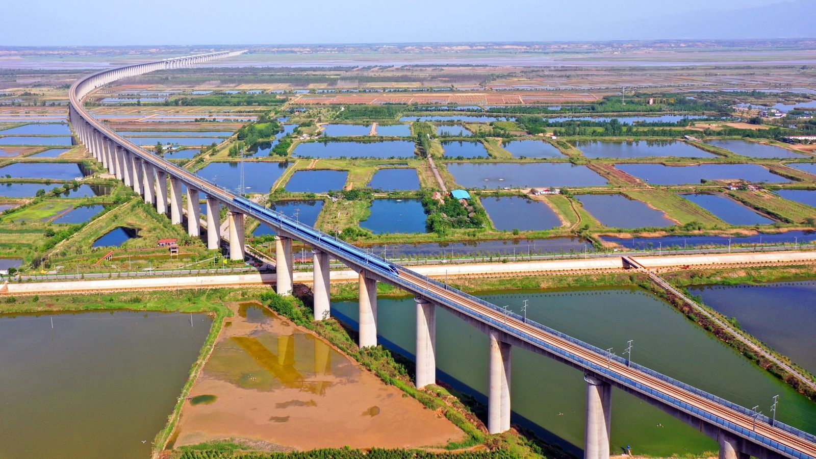 陕西合阳县：深入打好黄河生态保护治理攻坚战(图2)