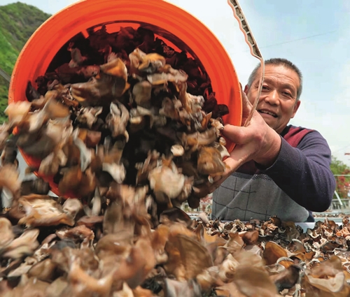 習近平與美麗中國建設（13）：努力建設人與自然和諧共生的美麗中國(图5)