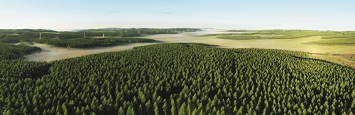 習近平與美麗中國建設（13）：努力建設人與自然和諧共生的美麗中國(图7)