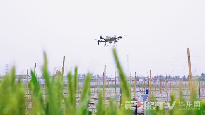 立体山城奔向“云端”经济新蓝海(图7)