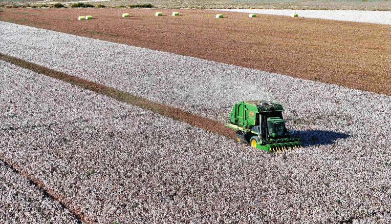 治国理政纪事丨用好兵团精神宝贵财富(图4)