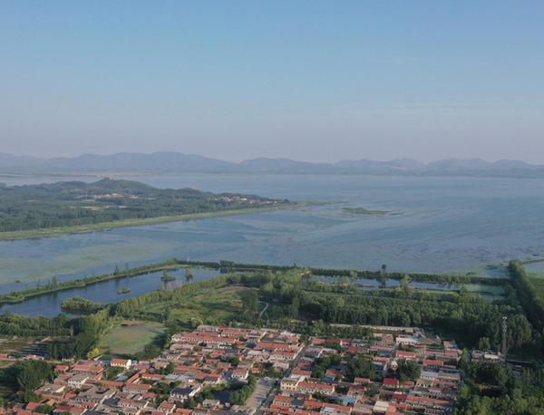 逐“綠”津沽繪“藍”圖(图1)