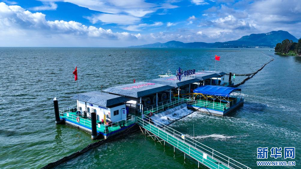 滇池“藻水共治”平台成效显著_新华网(图1)