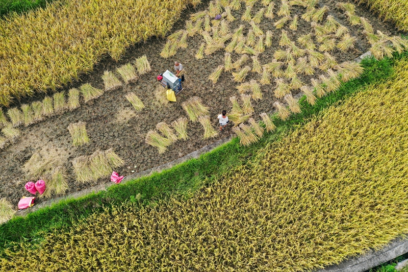 守好水利命脉 润泽千万粮田(图2)