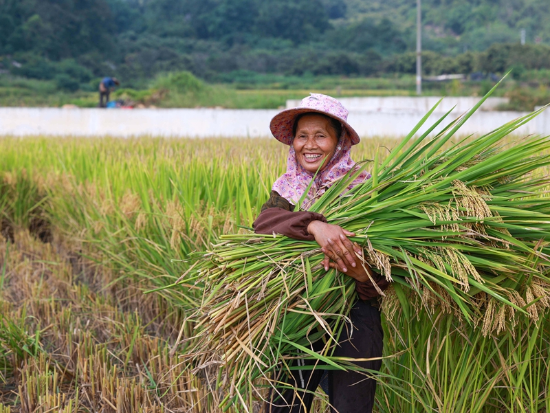 守好水利命脉 润泽千万粮田(图3)