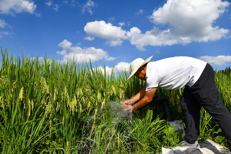 守好水利命脉 润泽千万粮田(图4)