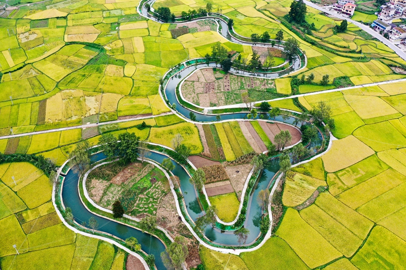 守好水利命脉 润泽千万粮田(图6)