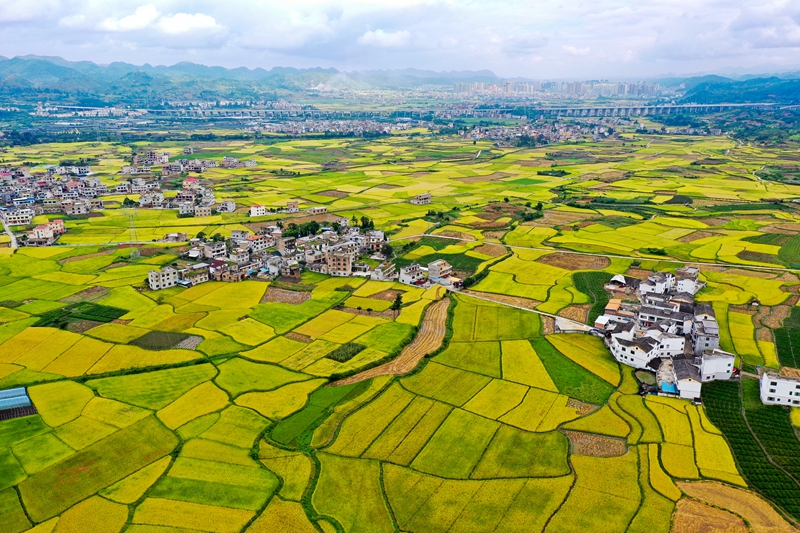 守好水利命脉 润泽千万粮田(图8)