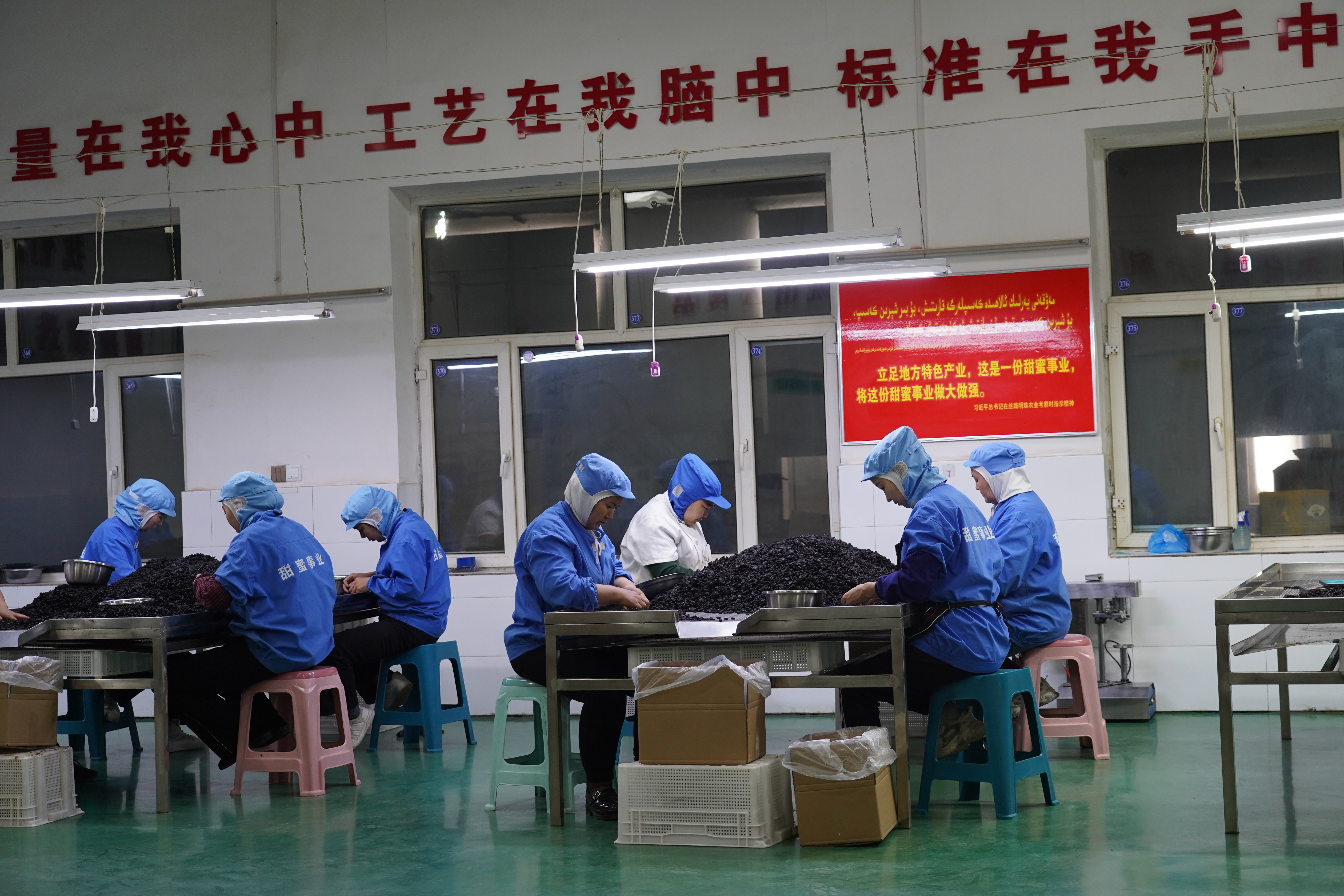 “茹队长”的朋友圈： 藏着一个村庄的乡村振兴故事(图1)