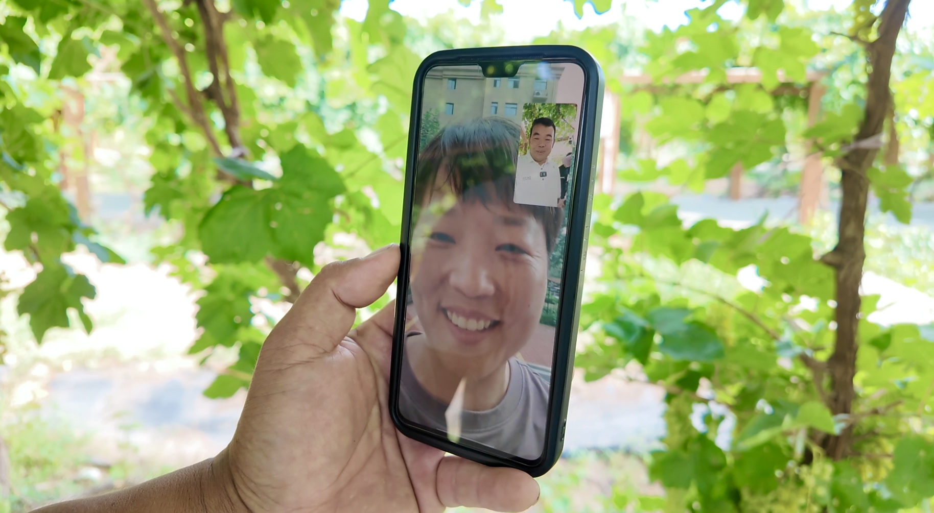 “茹队长”的朋友圈： 藏着一个村庄的乡村振兴故事(图3)