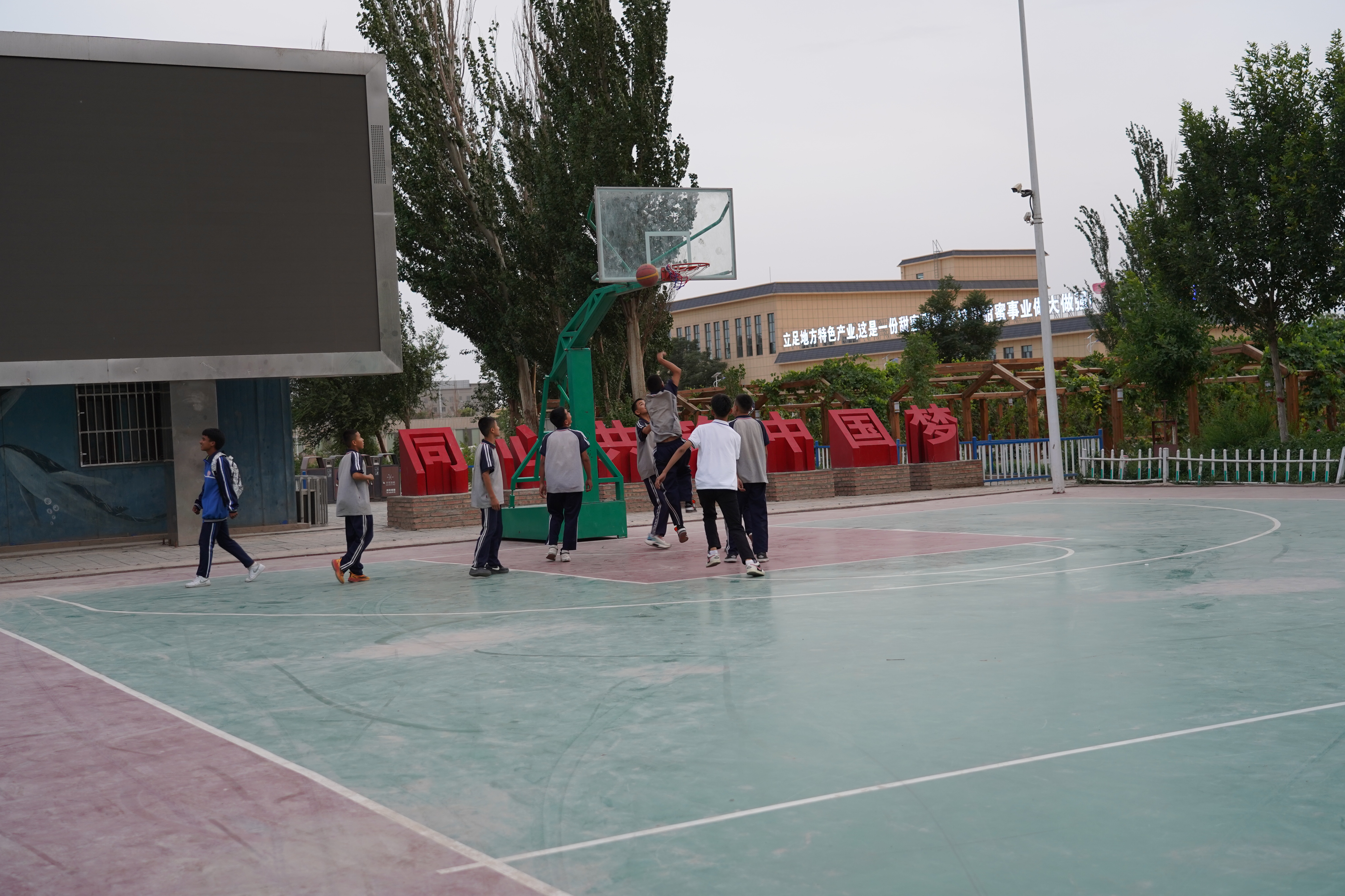 “茹队长”的朋友圈： 藏着一个村庄的乡村振兴故事(图5)