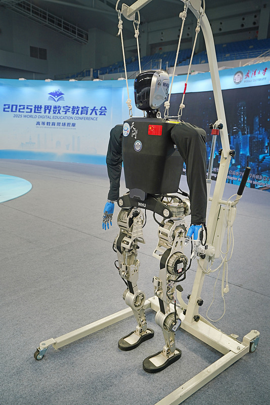 湖北支点建设三维突破：锻造新引擎夯实硬支撑昂扬精气神(图6)