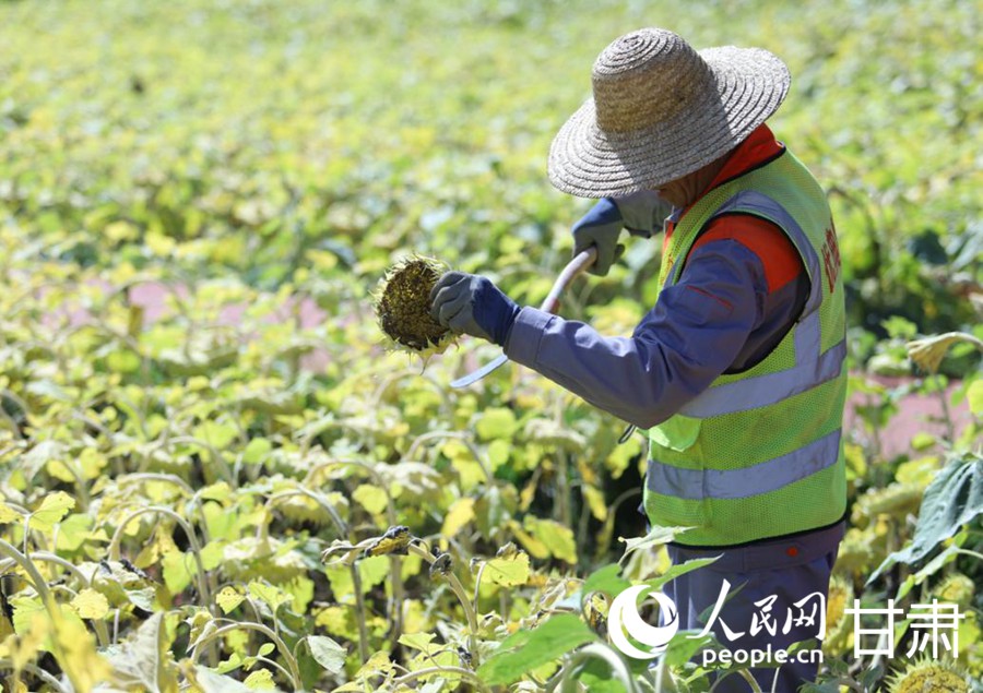 丝路IP 机遇中国产业兴、生态美 秦王川上动能澎湃(图4)