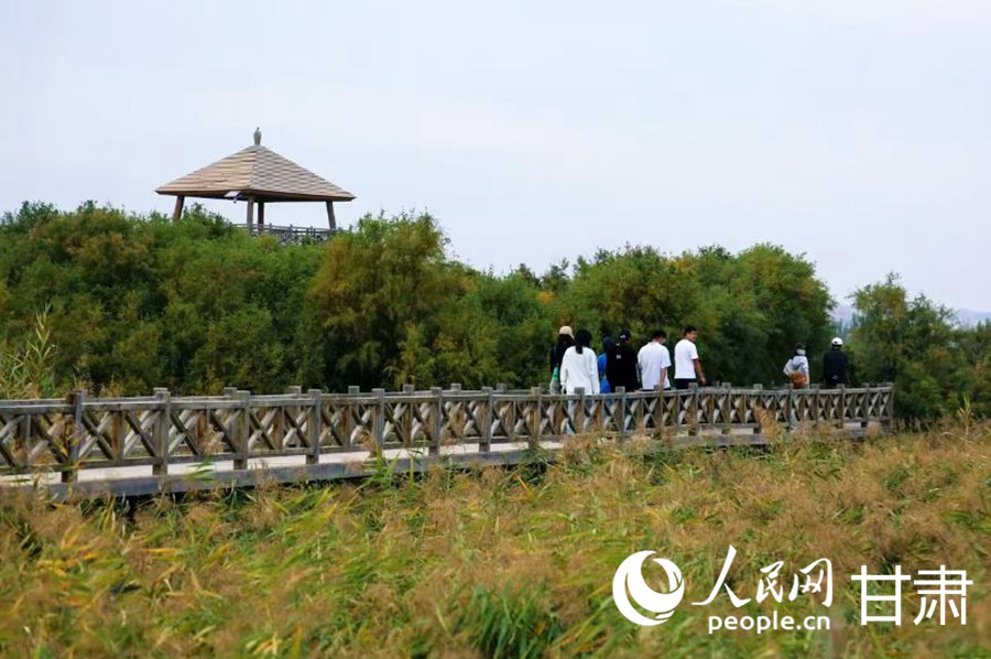 丝路IP 机遇中国产业兴、生态美 秦王川上动能澎湃(图2)