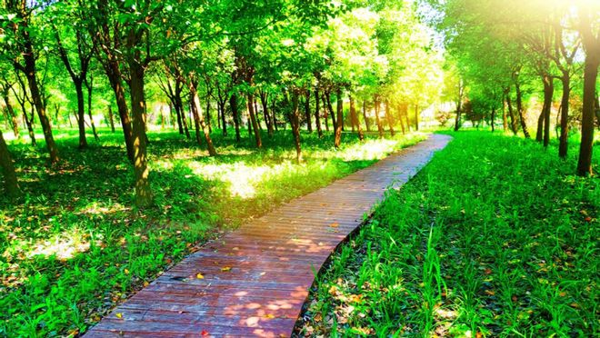 参与古镇联合申遗背后上海新场镇的“治河”之路(图5)