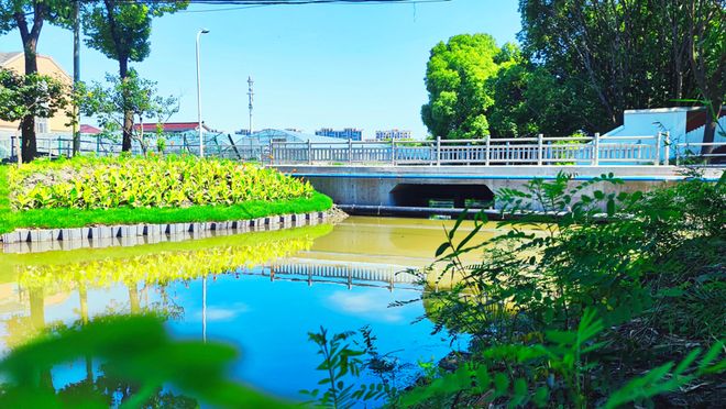 参与古镇联合申遗背后上海新场镇的“治河”之路(图1)