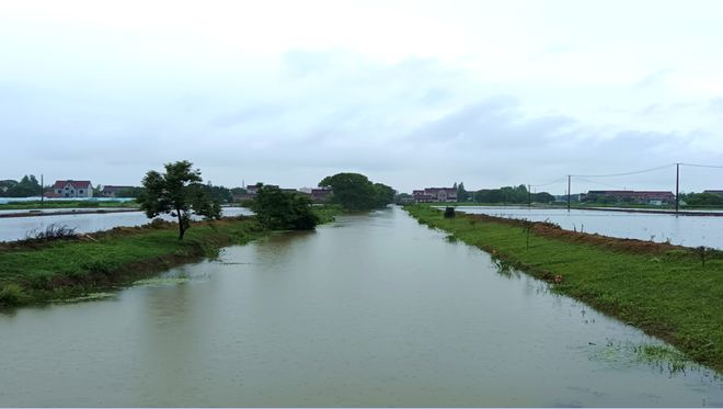 参与古镇联合申遗背后上海新场镇的“治河”之路(图3)