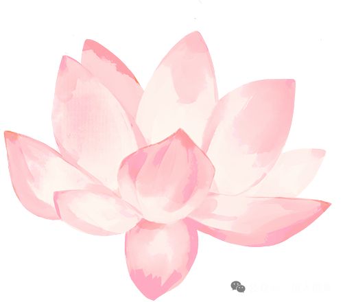 后湖武汉这2年在搞水综合治理(图1)