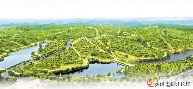 激活发展“一池春水” ——随州市推进水利“三资”改革的探索与实践(图2)