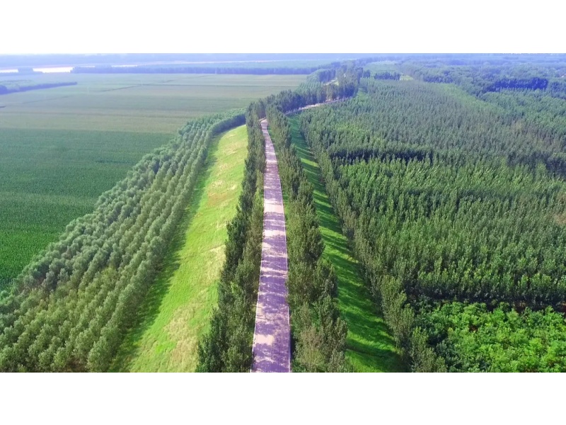 山东黄河河务局门户网站(图8)