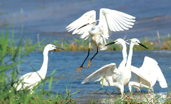 “十四五”看水务 “碧水账”公布：看得见的清澈幸福(图4)
