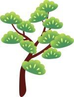 上海松江：执绿绘新城 生态护山水(图2)