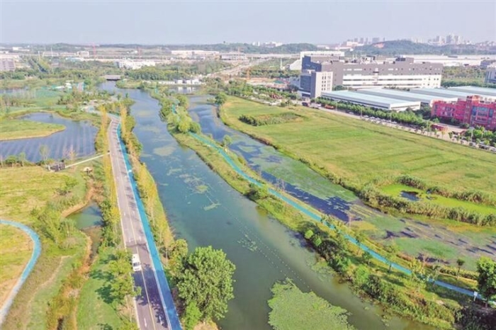 法治化护航“生态绿肾” 潍坊湿地保护迈入精准治理新阶段