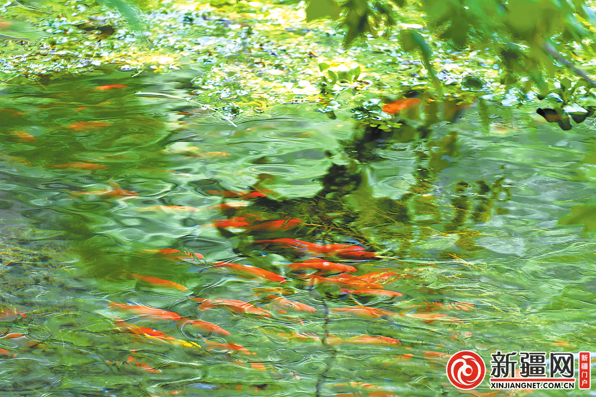 水磨河：乌鲁木齐的城市记忆与滨水新生——这条“生命之河”何以入选国家级“美丽河湖”优秀案例(图1)