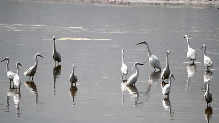 生态治理 消落带变身城市新风景(图3)