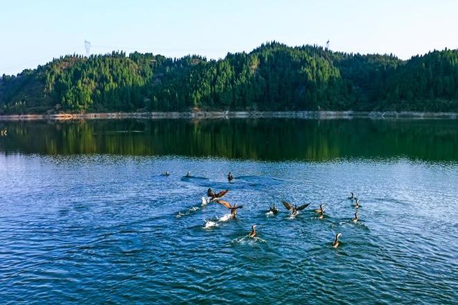 黔山秀水“新答卷”(图4)