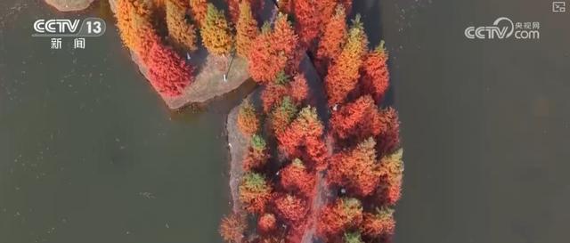 多维度“数”说新成效 夯实水安全保障基础 永续惠泽子孙后代(图12)