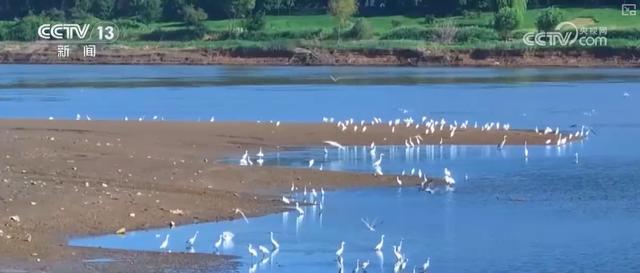 多维度“数”说新成效 夯实水安全保障基础 永续惠泽子孙后代(图13)