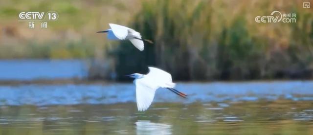 多维度“数”说新成效 夯实水安全保障基础 永续惠泽子孙后代(图14)