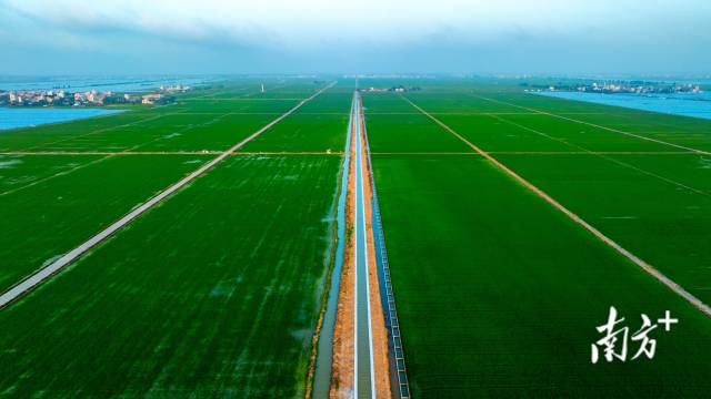 稳居全国前列！广东水利建设完成投资连续3年突破千亿元(图8)