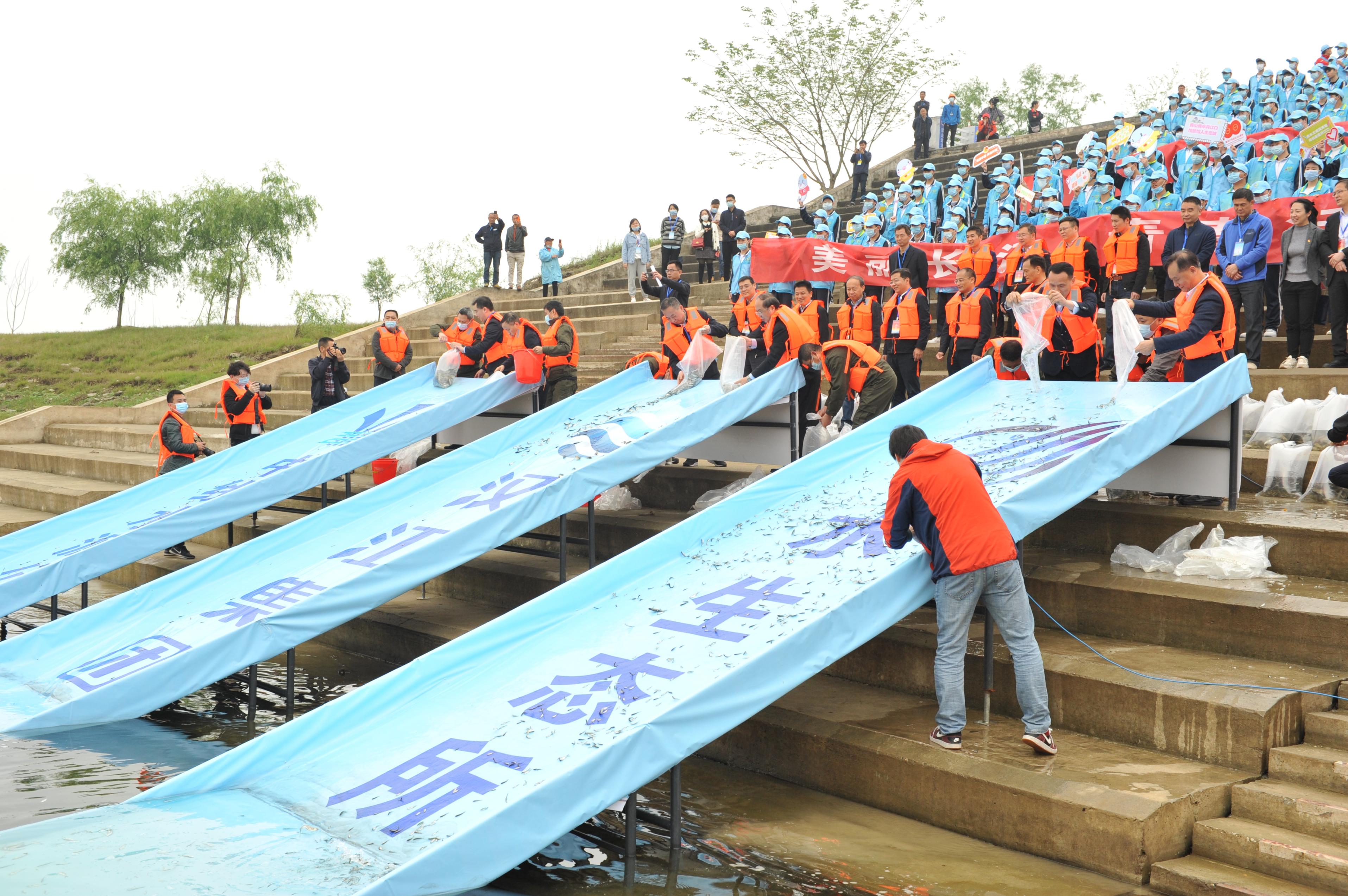 一条大江润神州:长江大保护十年答卷(图3)