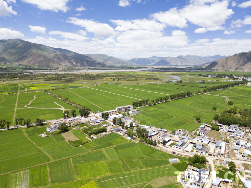 拉萨城乡建设绘就新图景(图2)