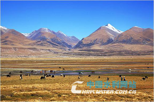 西藏水土保持与生态文明高端论坛(图4)