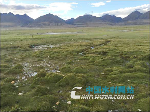 西藏水土保持与生态文明高端论坛(图3)