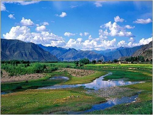 西藏水土保持与生态文明高端论坛(图5)