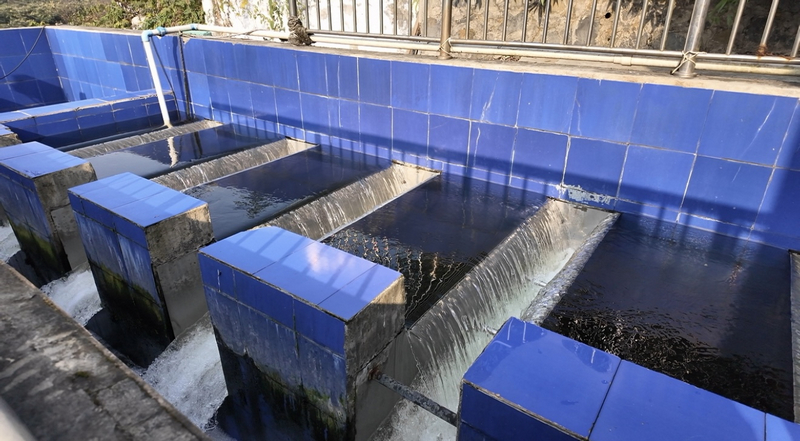 贵州金沙：城乡治水“一张网” 清流潺潺润民生(图3)