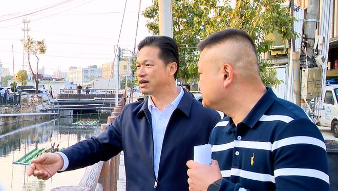 区领导带队督导水环境治理工作落实情况(图1)