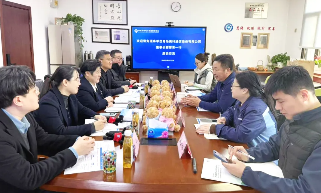 对会员伙伴“十五五”质量发展规划诊断再跟进(图1)