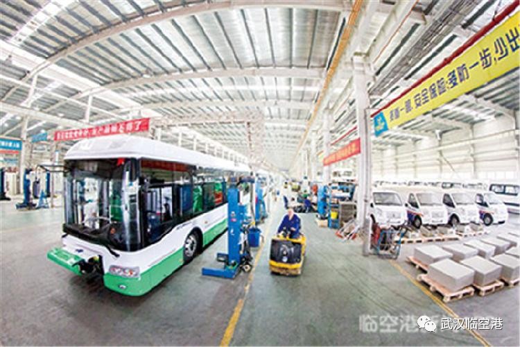 凤凰网专访杨泽发 区长说了！未来五年撸起袖子这么干！(图5)