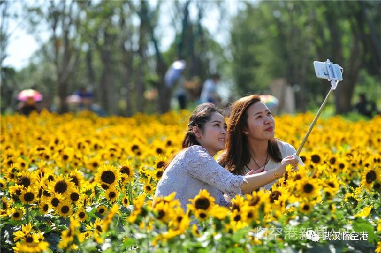 凤凰网专访杨泽发 区长说了！未来五年撸起袖子这么干！(图10)