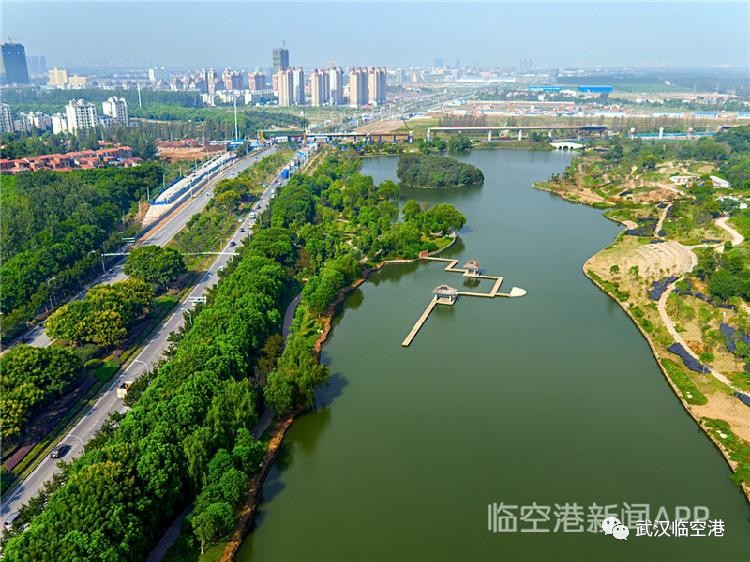 凤凰网专访杨泽发 区长说了！未来五年撸起袖子这么干！(图11)