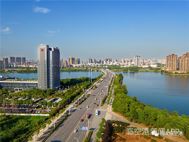 凤凰网专访杨泽发 区长说了！未来五年撸起袖子这么干！(图12)